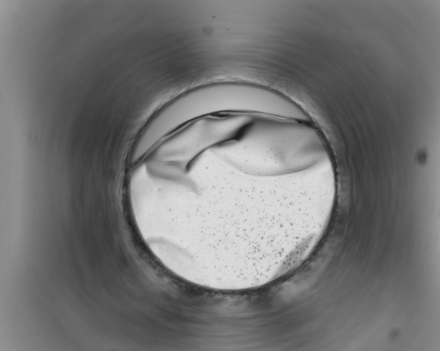 X0000100400434200807032017