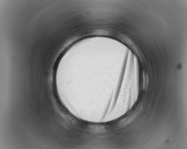 X0000100400435200807032017