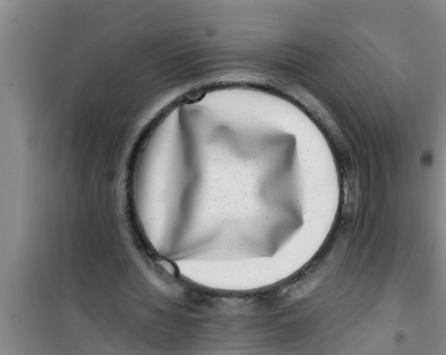 X0000100400436200807032017