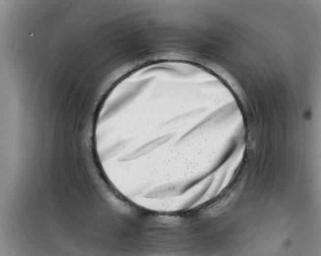 X0000100400437200807032017