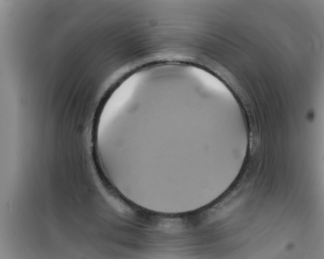 X0000100400438200807032017