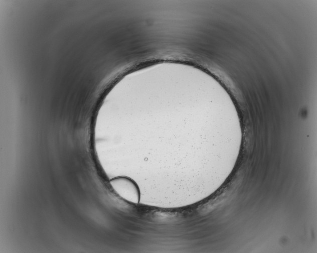 X0000100400442200807032017
