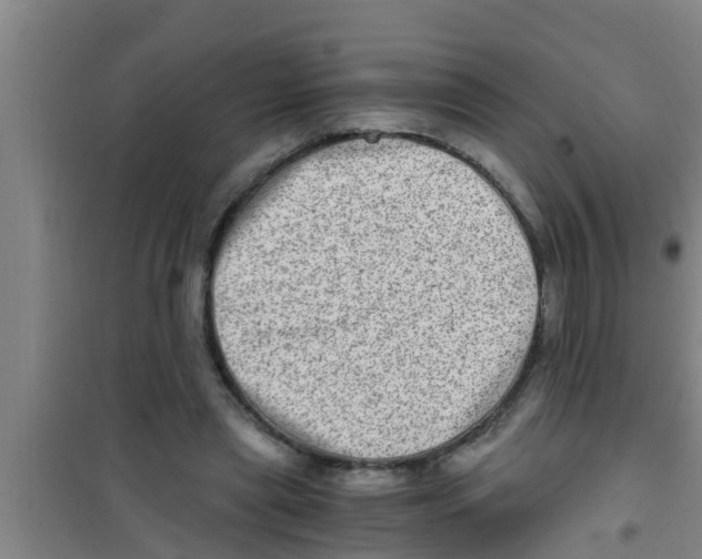 X0000100400445200807032017