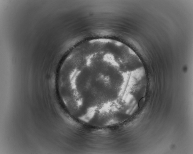 X0000100400447200807032017
