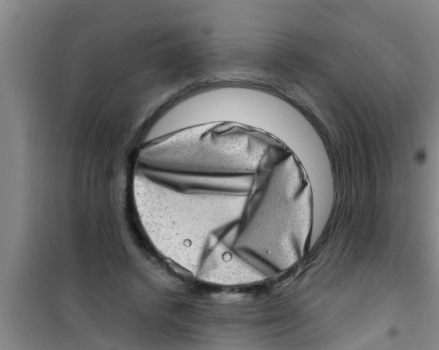 X0000100400448200807032017