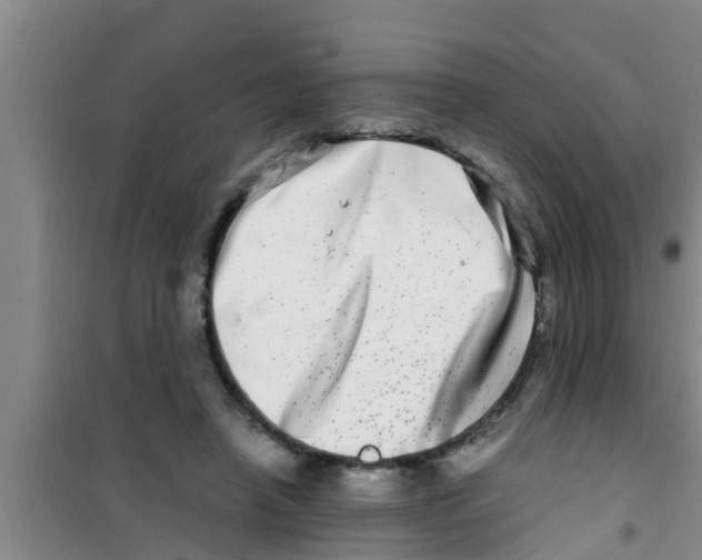 X0000100400450200807032017