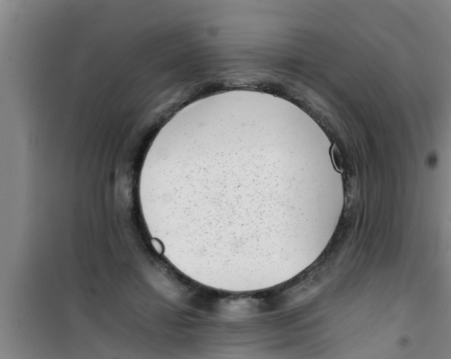 X0000100400452200807032018