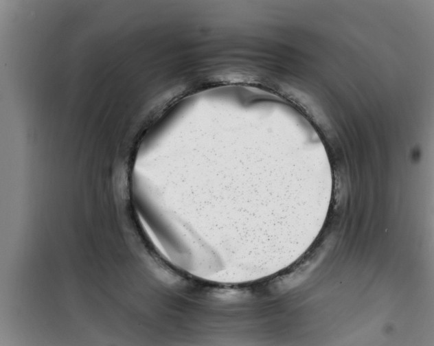 X0000100400453200807032018