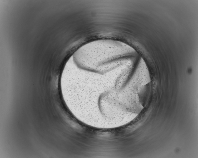 X0000100400454200807032018