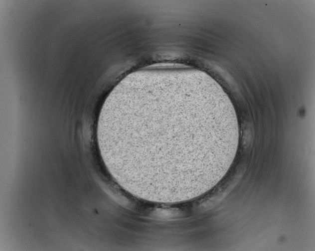 X0000100400455200807032018