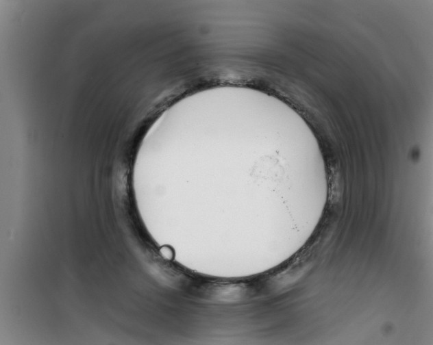 X0000100400456200807032018