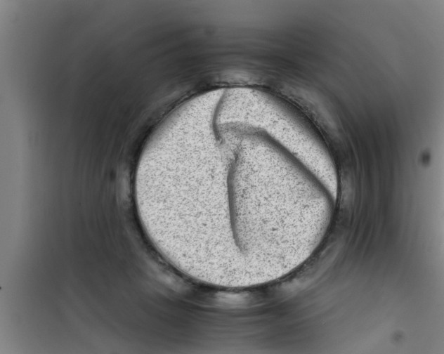 X0000100400457200807032018
