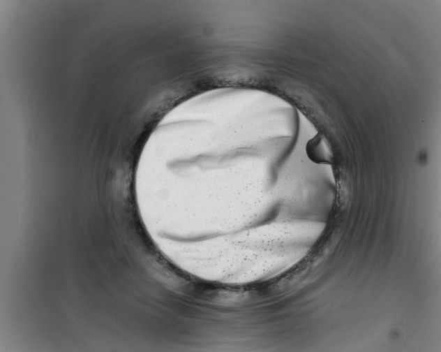 X0000100400458200807032018