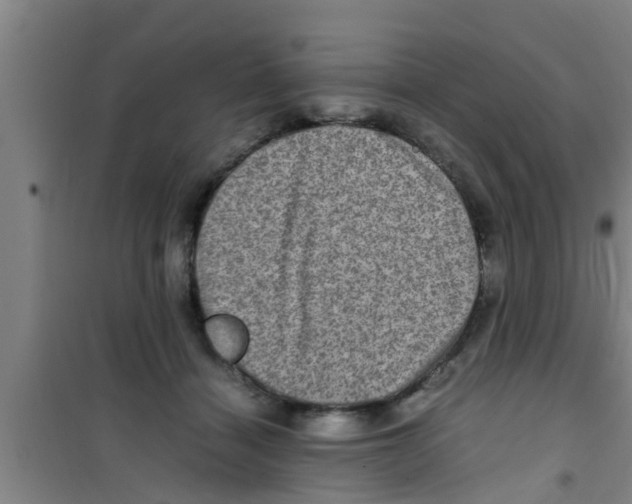 X0000100400460200807032018