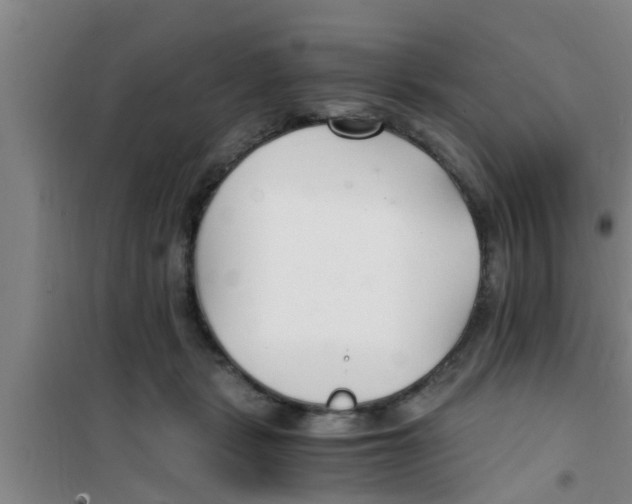 X0000100400461200807032018