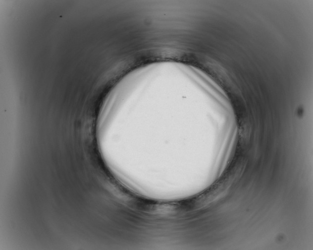 X0000100400462200807032018