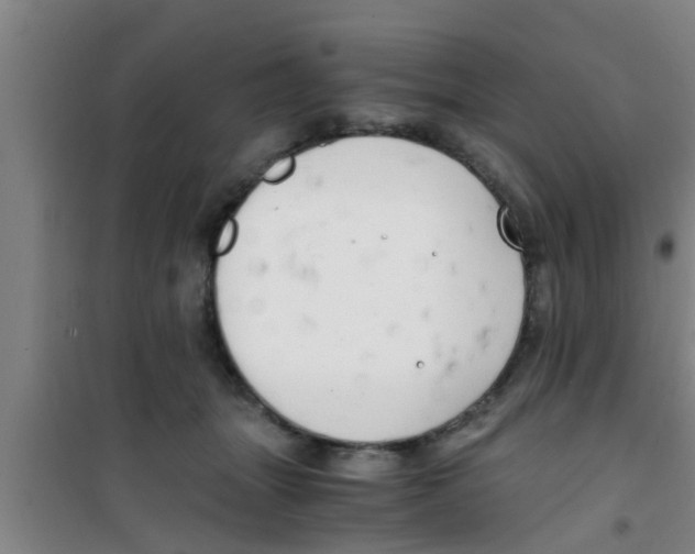 X0000100400463200807032018