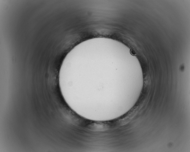 X0000100400464200807032018