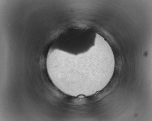 X0000100400465200807032018