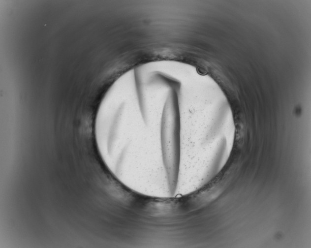 X0000100400466200807032018