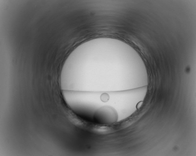 X0000100400467200807032018