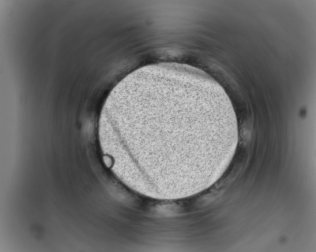 X0000100400468200807032018