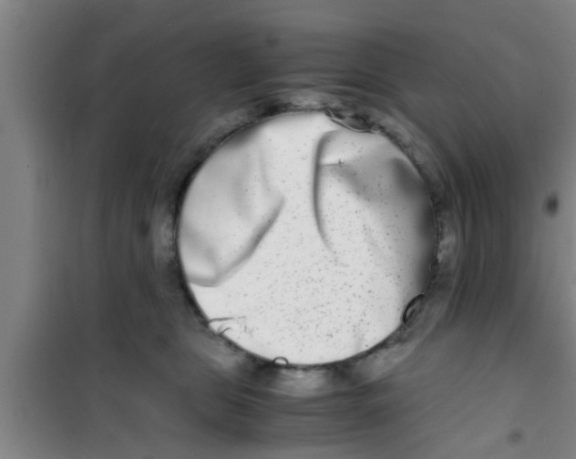 X0000100400469200807032018