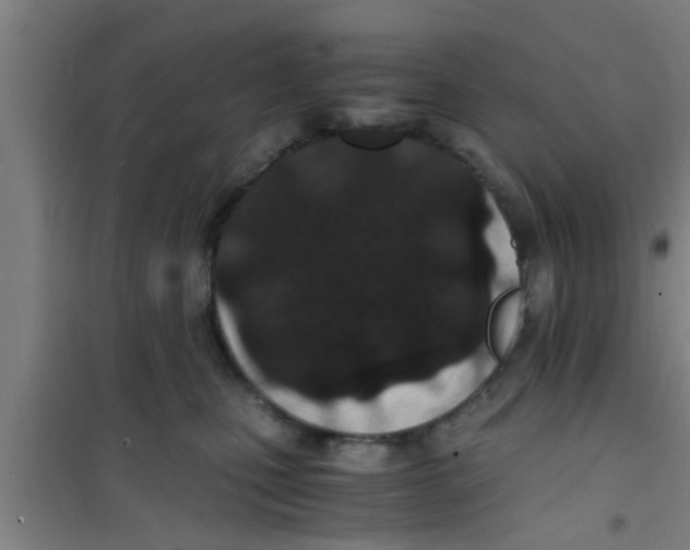 X0000100400471200807032018