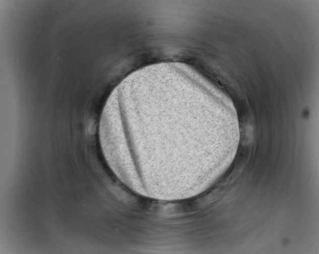 X0000100400472200807032018