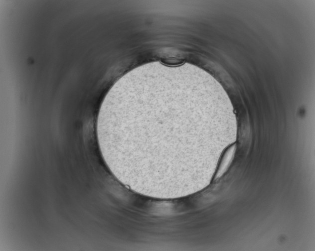 X0000100400473200807032018