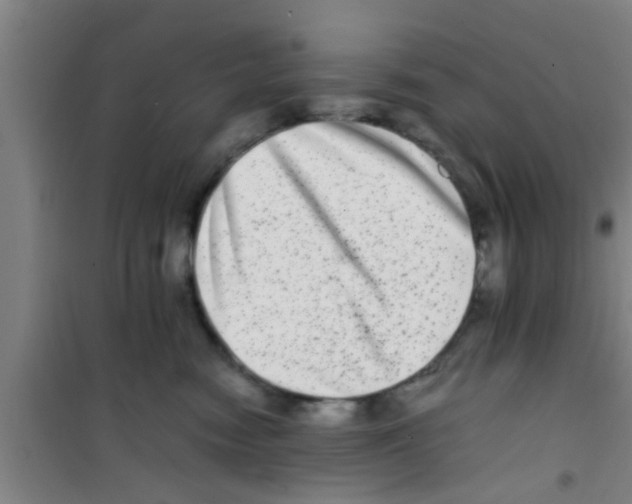 X0000100400474200807032018