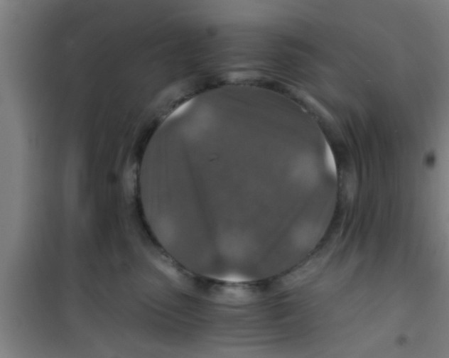 X0000100400475200807032018