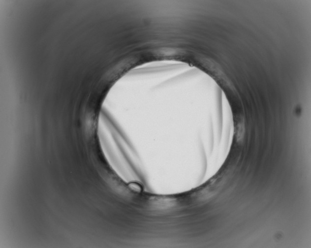 X0000100400476200807032018