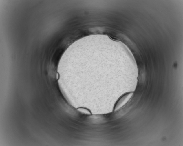 X0000100400477200807032018