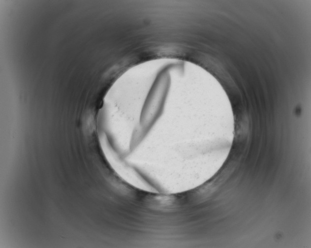 X0000100400478200807032018