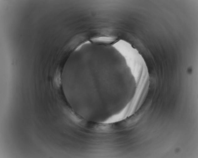 X0000100400479200807032018