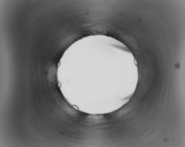 X0000100400480200807032018