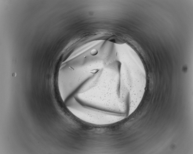 X0000100400482200807032017