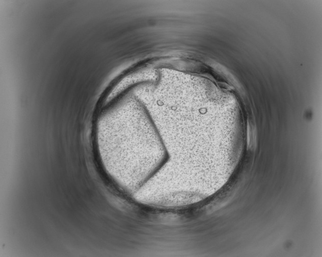 X0000100400483200807032017