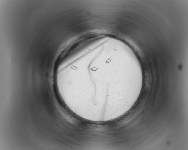 X0000100400486200807032017