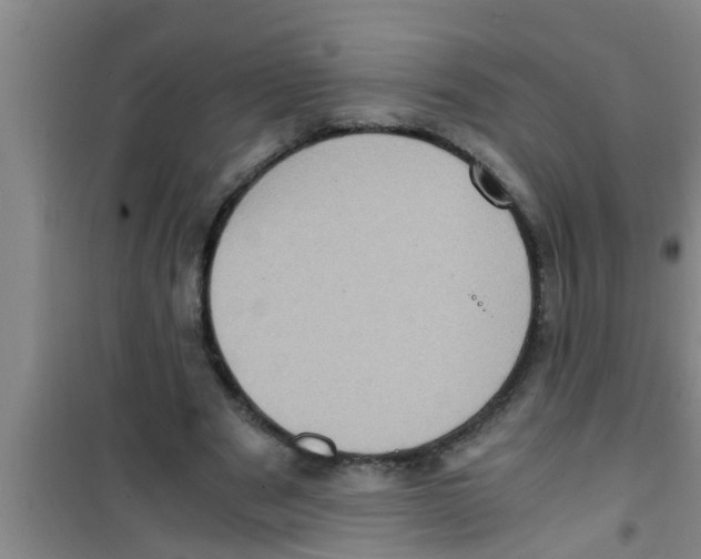 X0000100400489200807032017