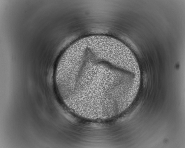 X0000100400490200807032017