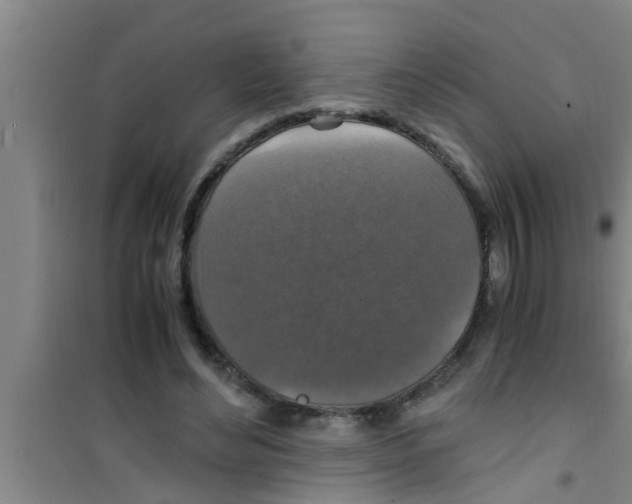 X0000100400492200807032017