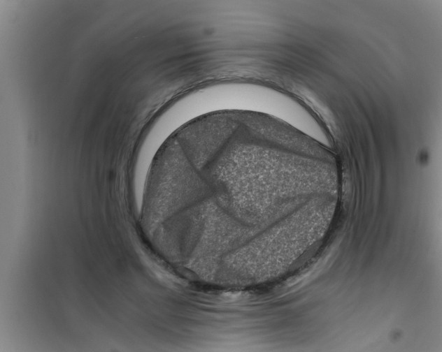 X0000100400493200807032017