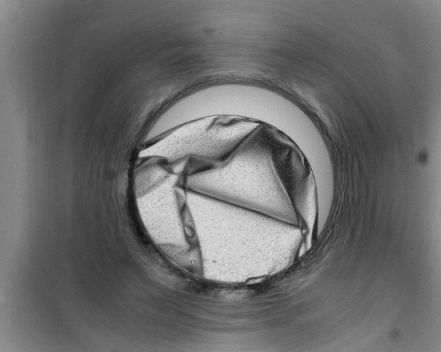 X0000100400495200807032017