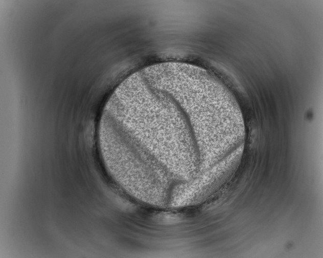 X0000100400498200807032017