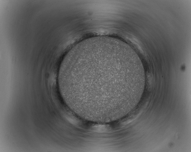 X0000100400499200807032017