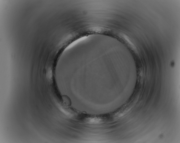 X0000100400500200807032017
