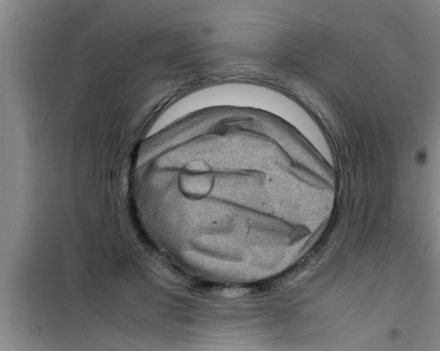 X0000100400501200807032017