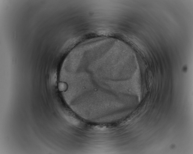 X0000100400502200807032017